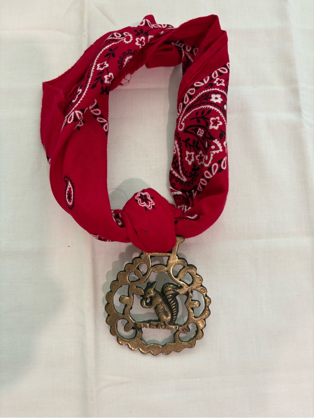 Red Bandana Scarf Necklace with Brass Pendant - Squirrel